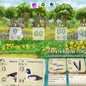 Wingspan (КРЫЛЬЯ): Комплект декоративных наборов. Изображение 4