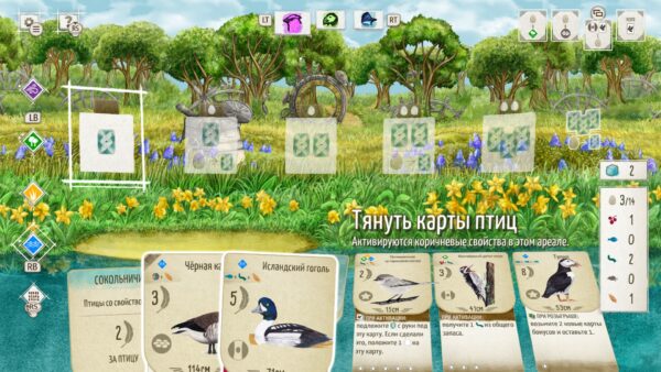Wingspan (КРЫЛЬЯ): Комплект декоративных наборов. Изображение 4