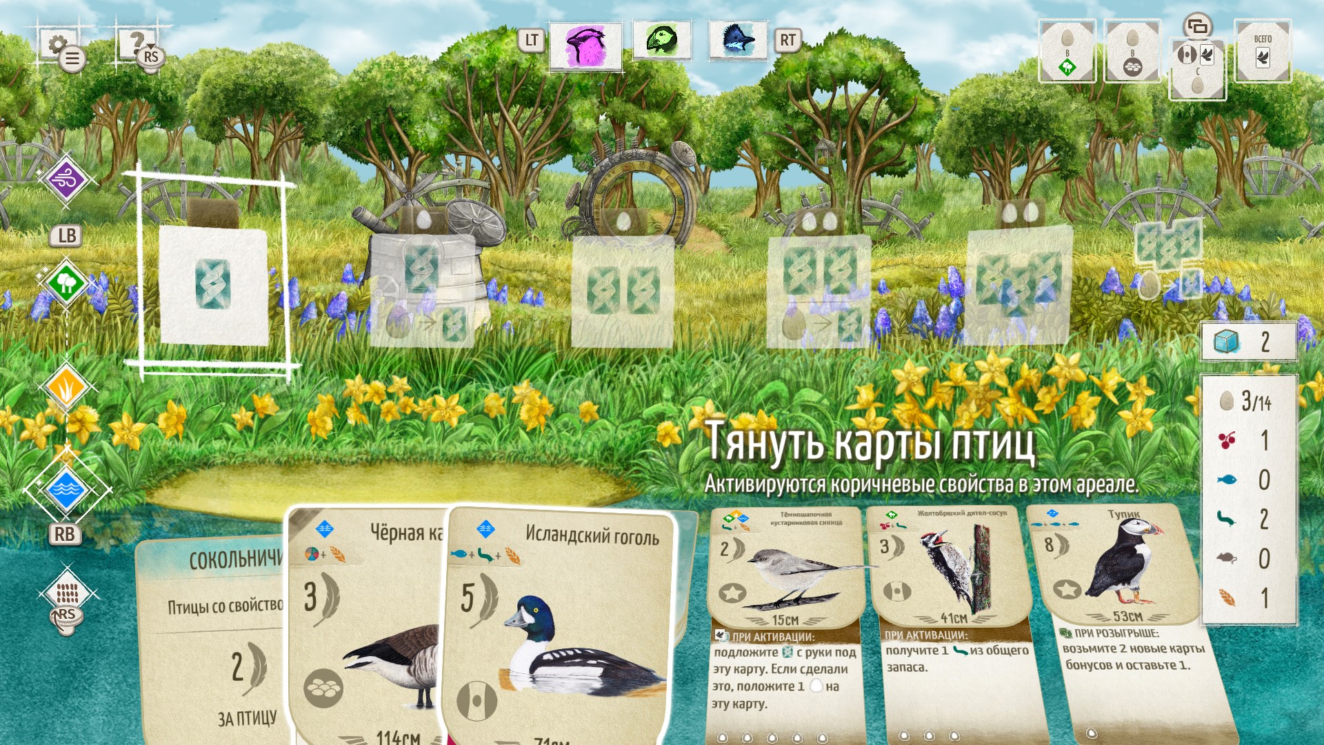 Wingspan (КРЫЛЬЯ): Комплект декоративных наборов. Изображение 4