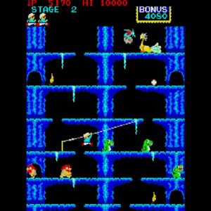 Arcade Archives 2 ROC'N ROPE. Изображение 4