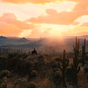 Red Dead Redemption. Изображение 4