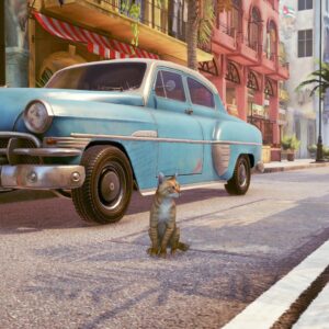 Little Strays - Beyond Havana. Изображение 2