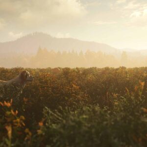 theHunter: Call of the Wild™ - Ultimate Hunting Bundle. Изображение 4