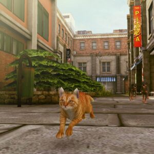 Little Strays 2. Изображение 3
