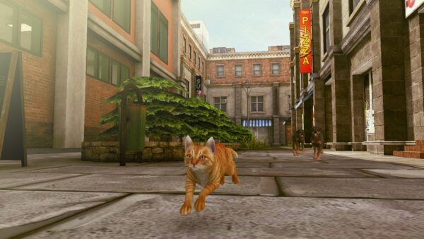 Little Strays 2. Изображение 3