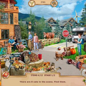 Motorhome: Traveling America Collector's Edition. Изображение 4
