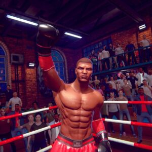 Casual Sport Series: Boxing. Изображение 3