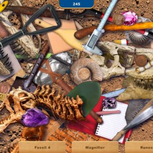 Lots Of Things Collector's Edition. Изображение 3