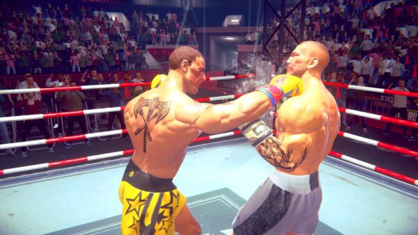Casual Sport Series: Boxing. Изображение 2