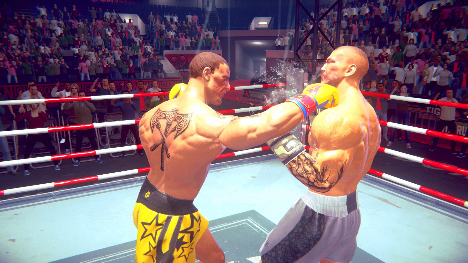 Casual Sport Series: Boxing. Изображение 2