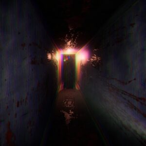 The Wellmonts Case. Изображение 3