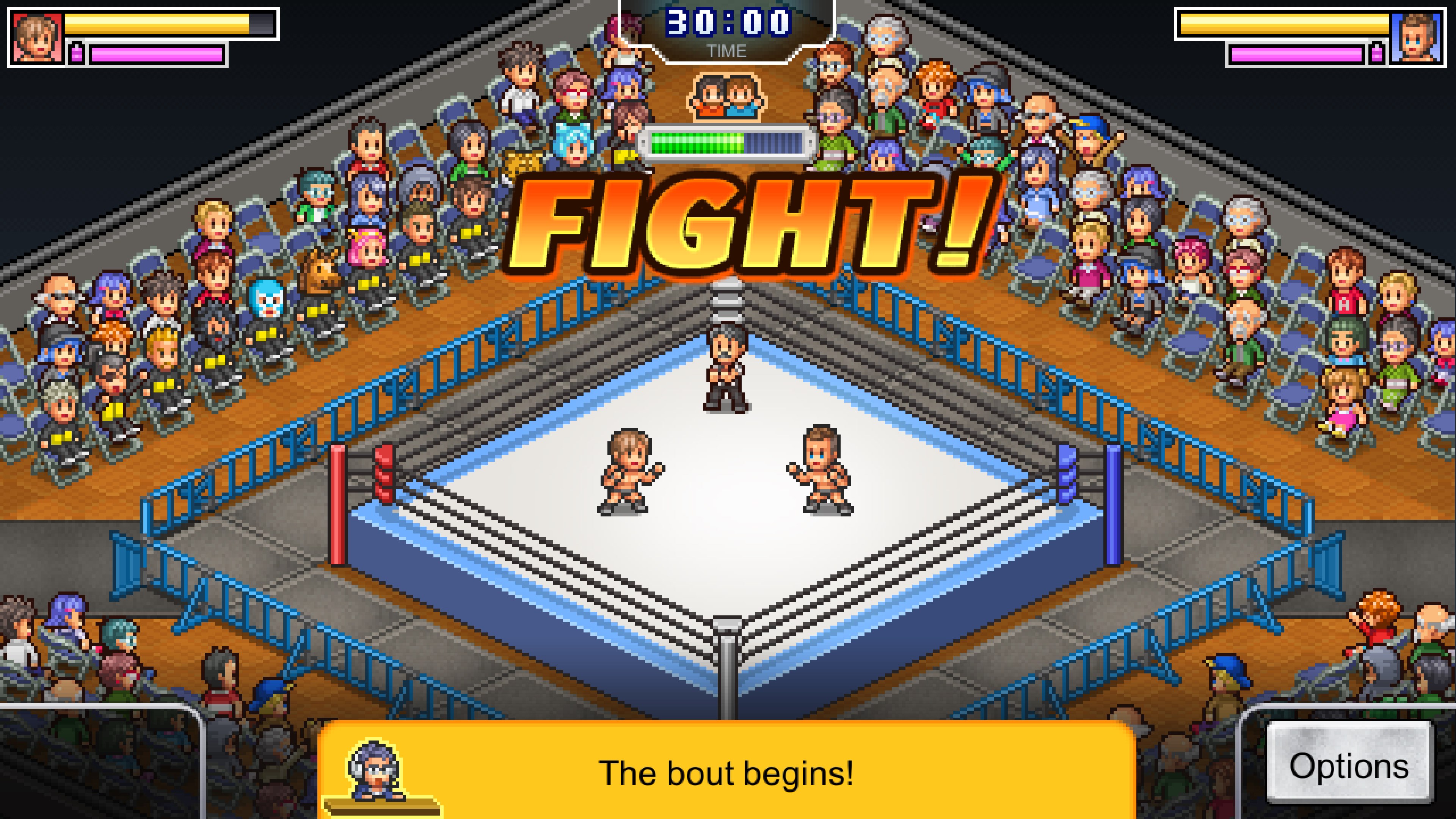 Pro Wrestler Story. Изображение 3