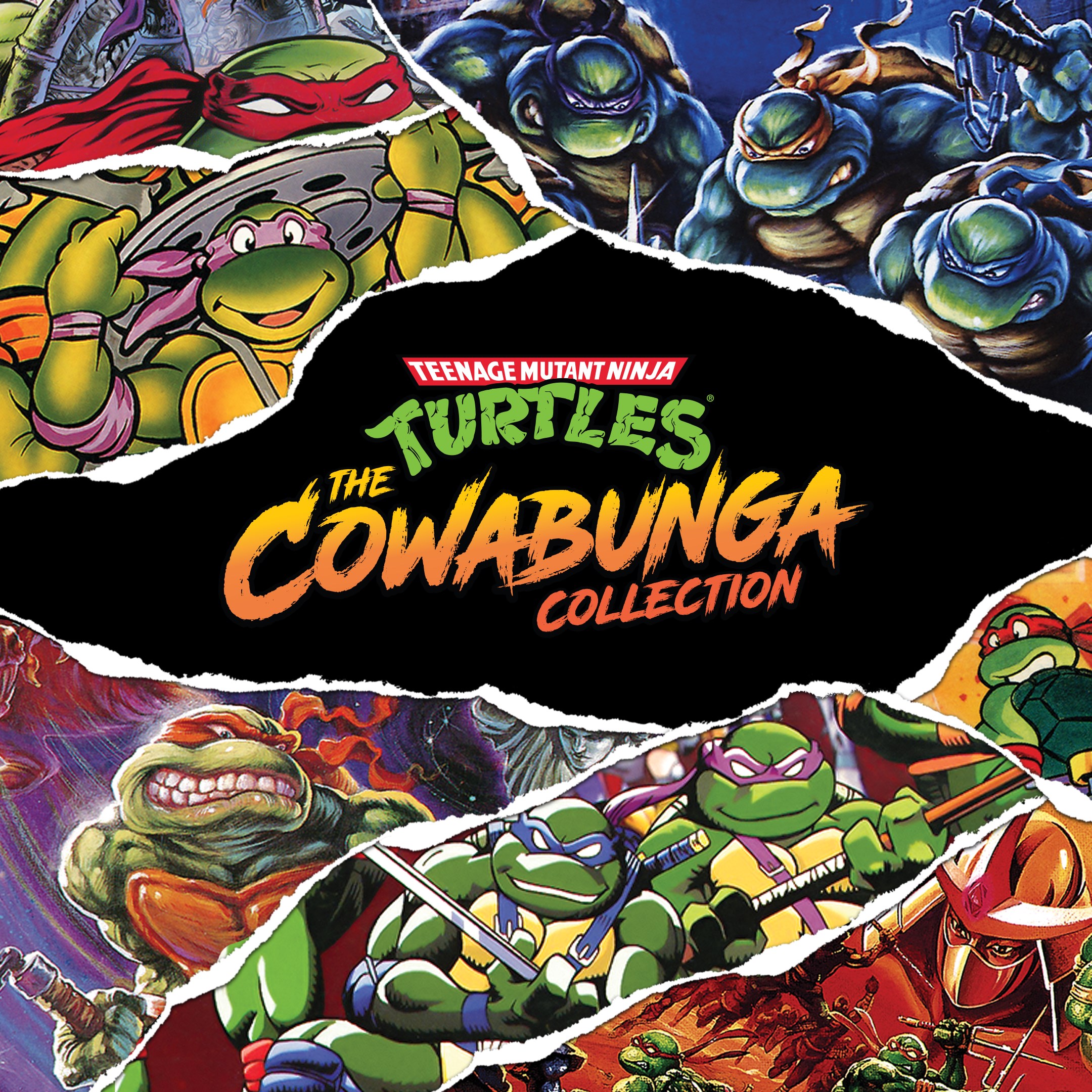 Teenage Mutant Ninja Turtles: The Cowabunga Collection. Изображение 1