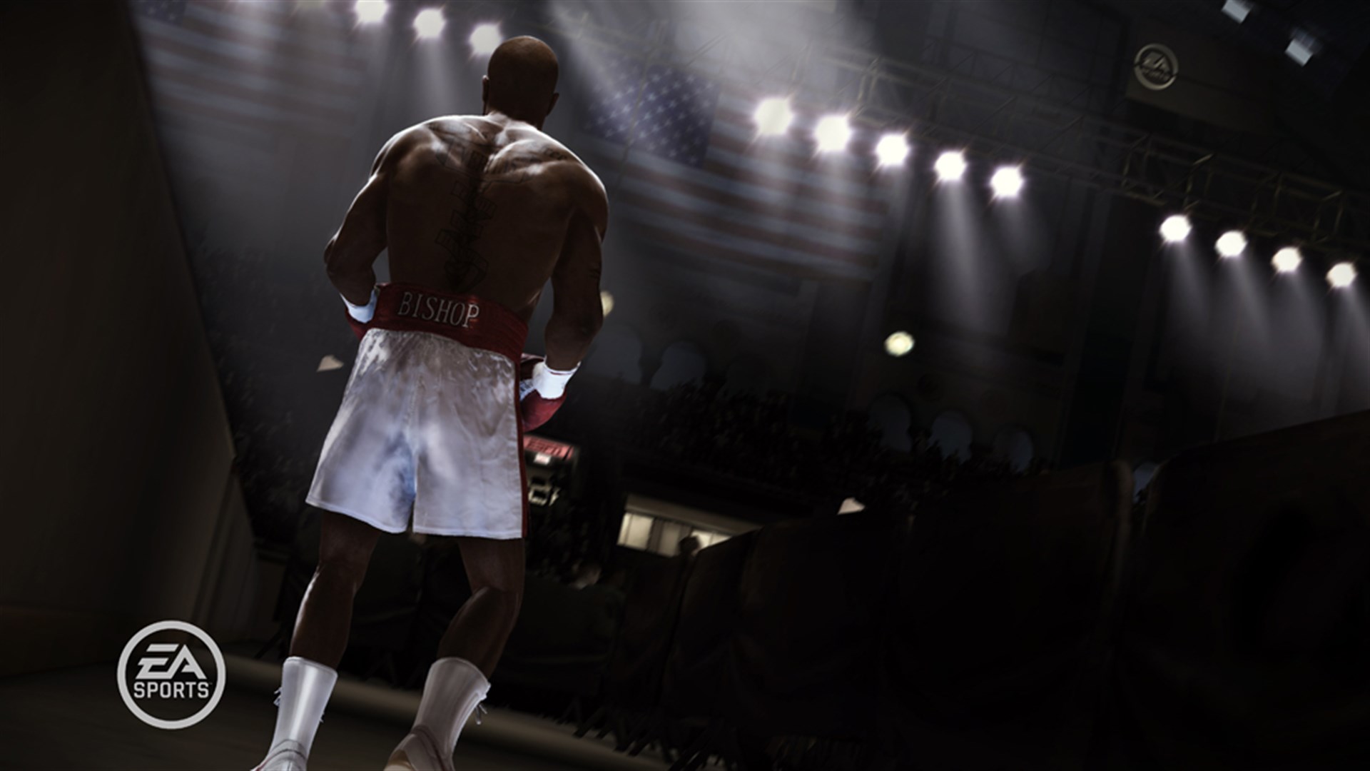 FIGHT NIGHT CHAMPION. Изображение 3