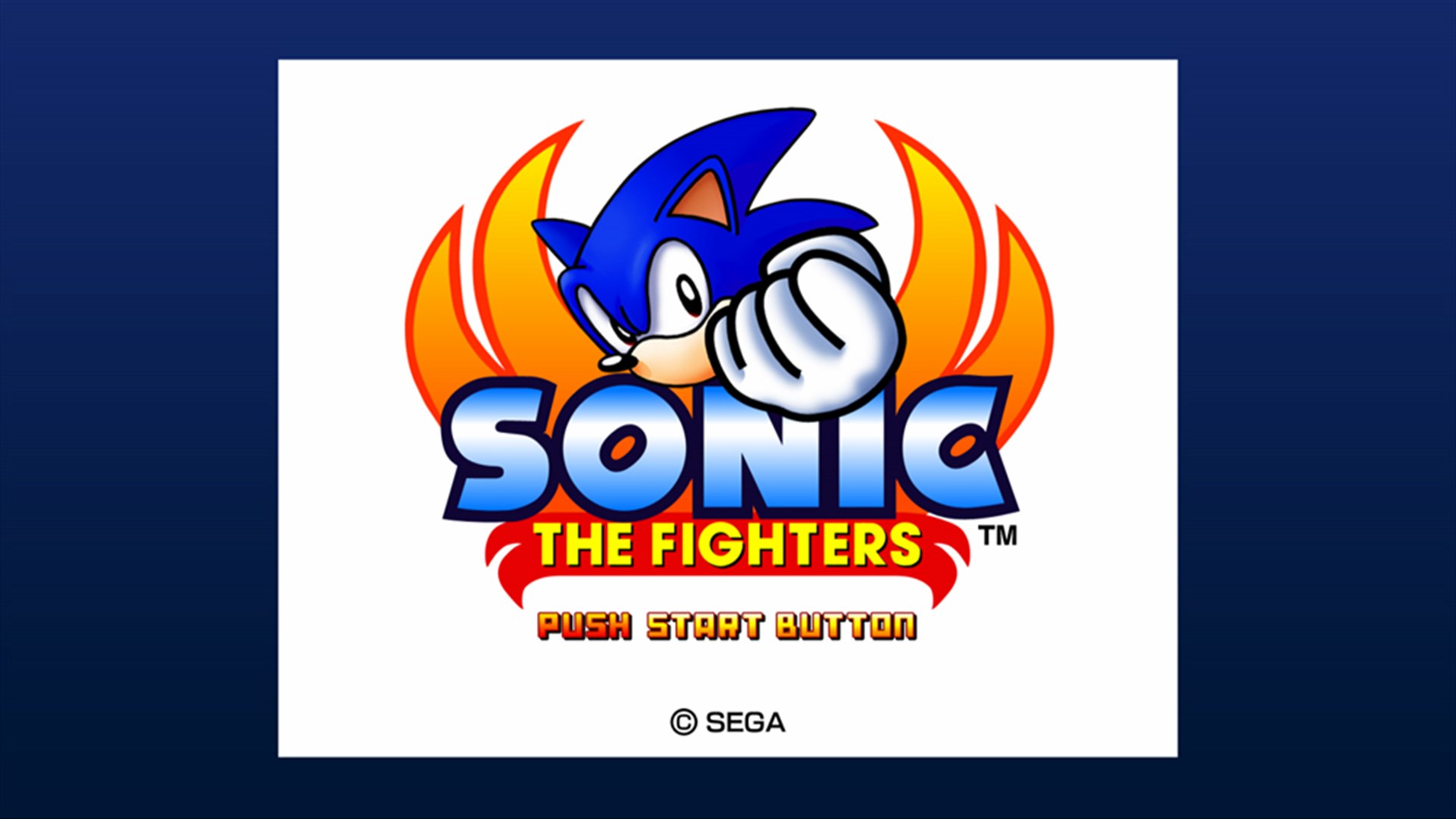 Sonic the Fighters. Изображение 3