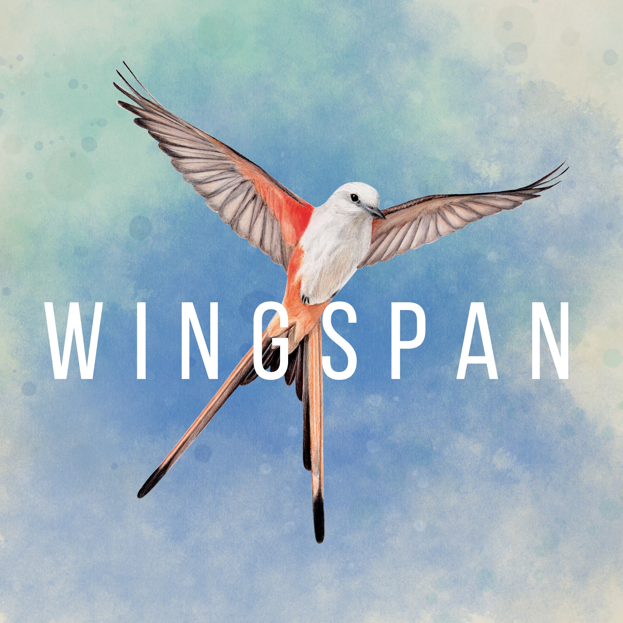 WINGSPAN (КРЫЛЬЯ). Изображение 1