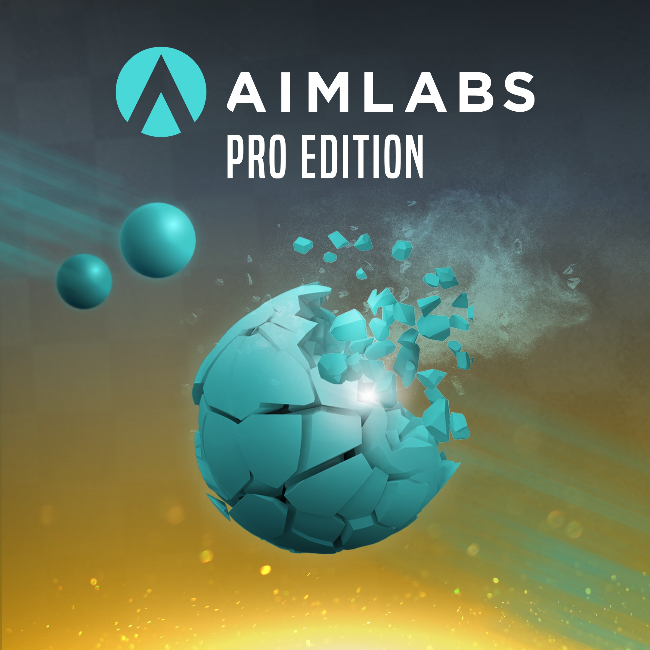 Aimlabs Professional Edition. Изображение 1