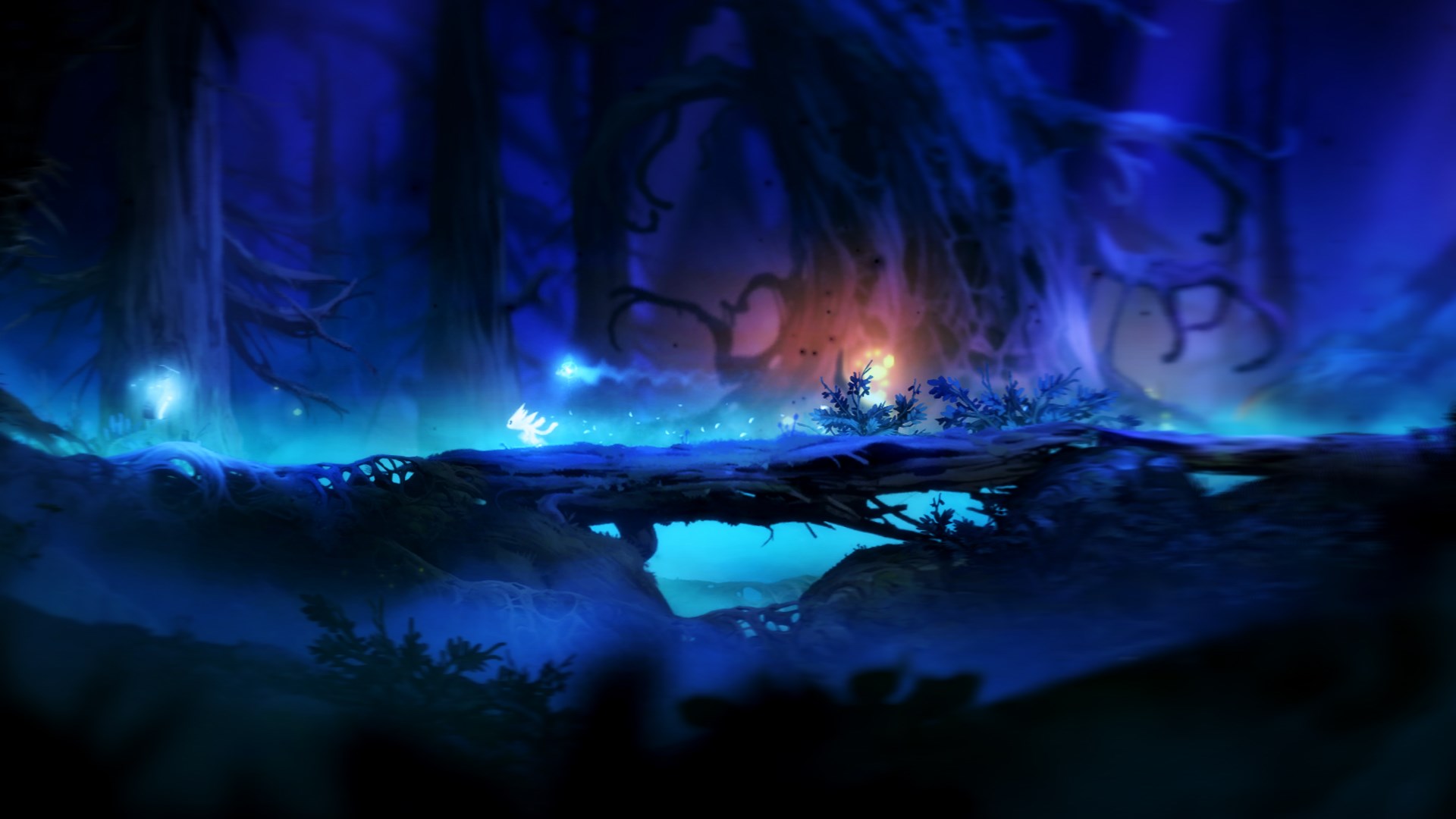 Ori: The Collection. Изображение 4