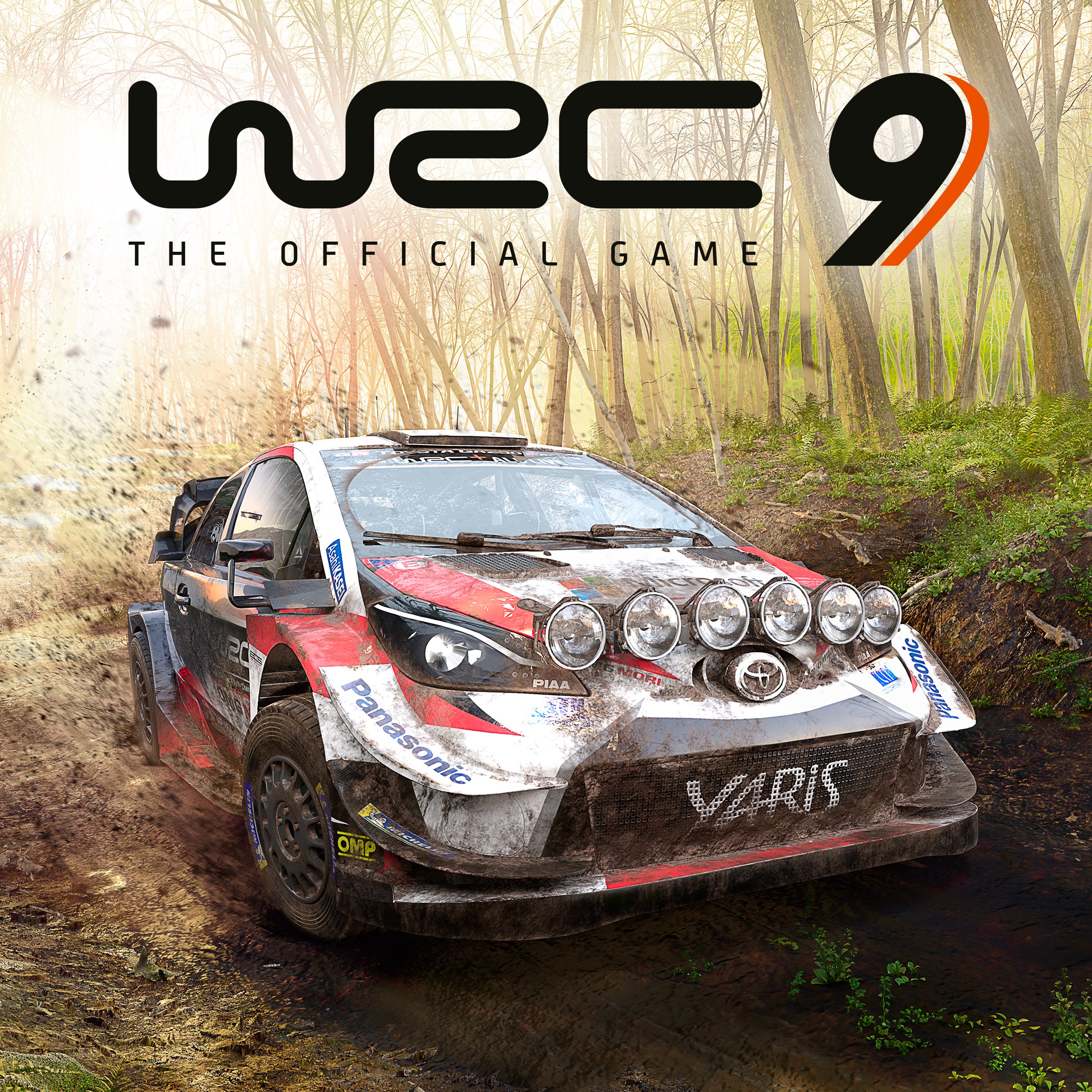 WRC 9 FIA World Rally Championship. Изображение 1