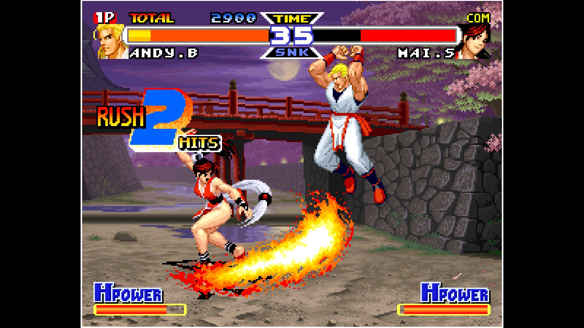 ACA NEOGEO REAL BOUT FATAL FURY SPECIAL. Изображение 2