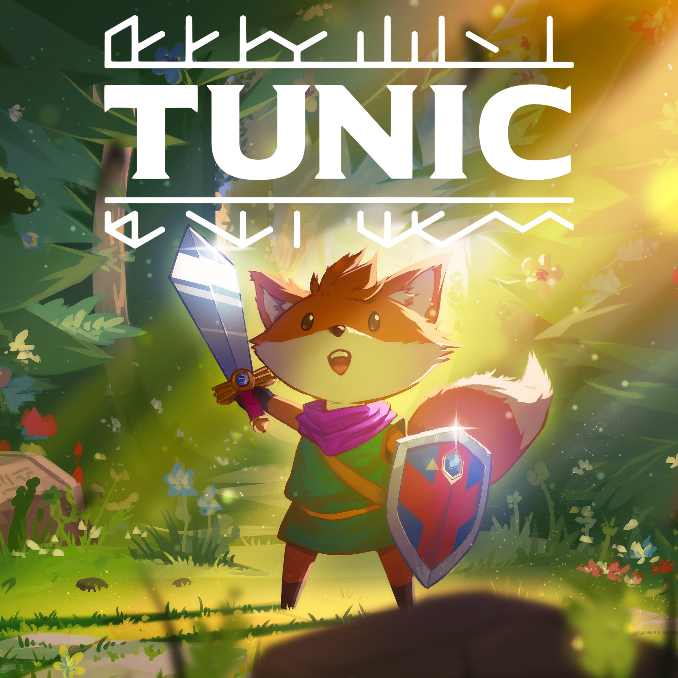 TUNIC. Изображение 1