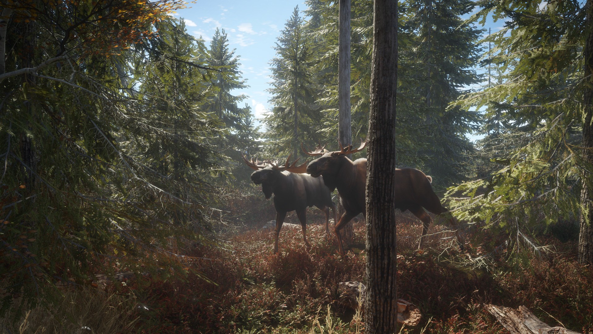 theHunter: Call of the Wild™. Изображение 2