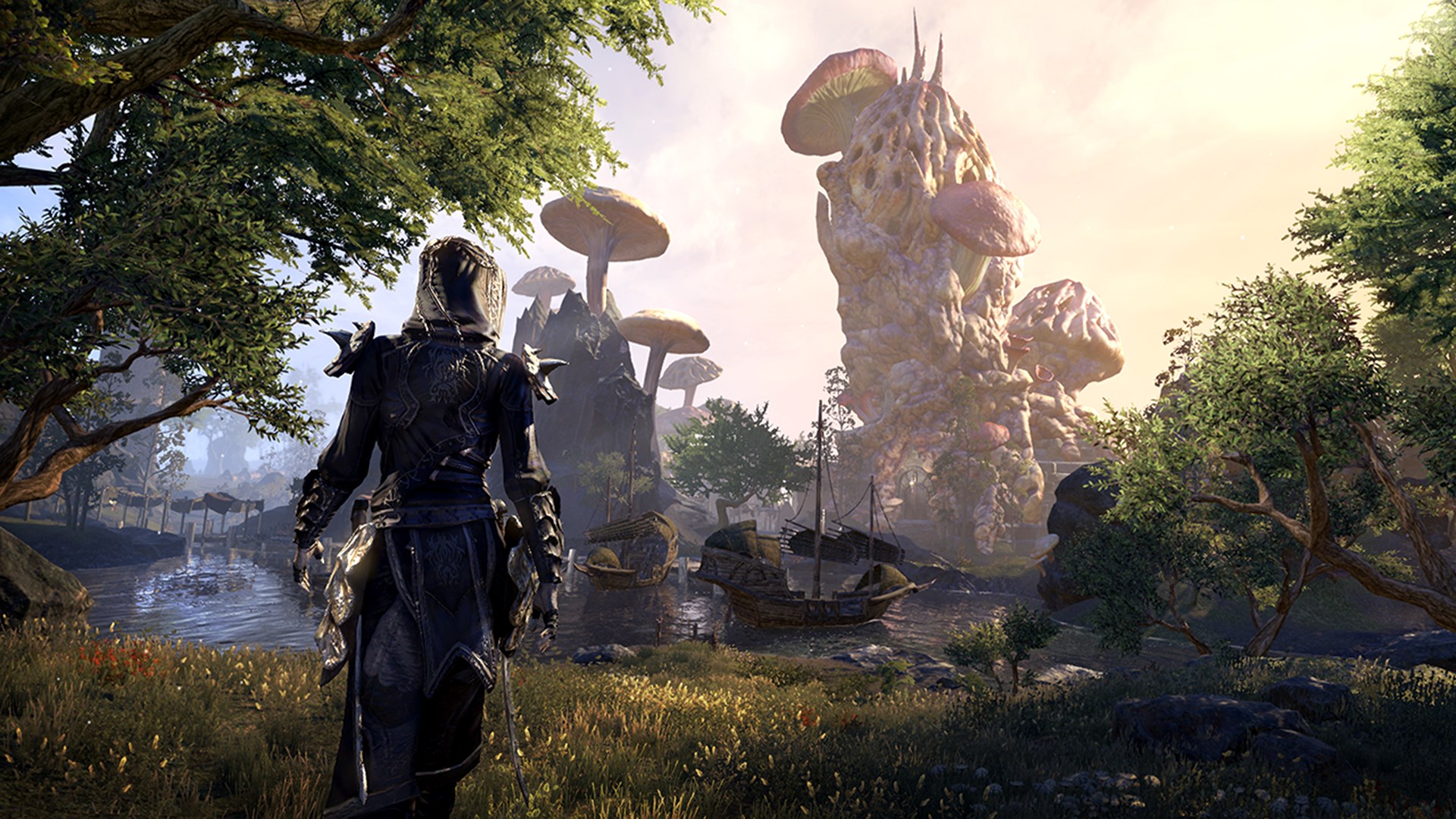 The Elder Scrolls® Online. Изображение 4