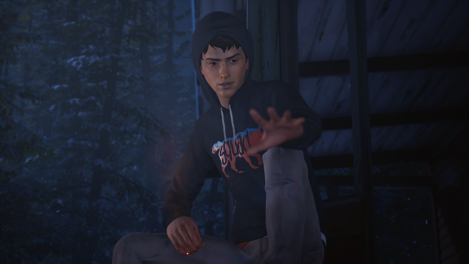 Life is Strange 2: полное издание. Изображение 4