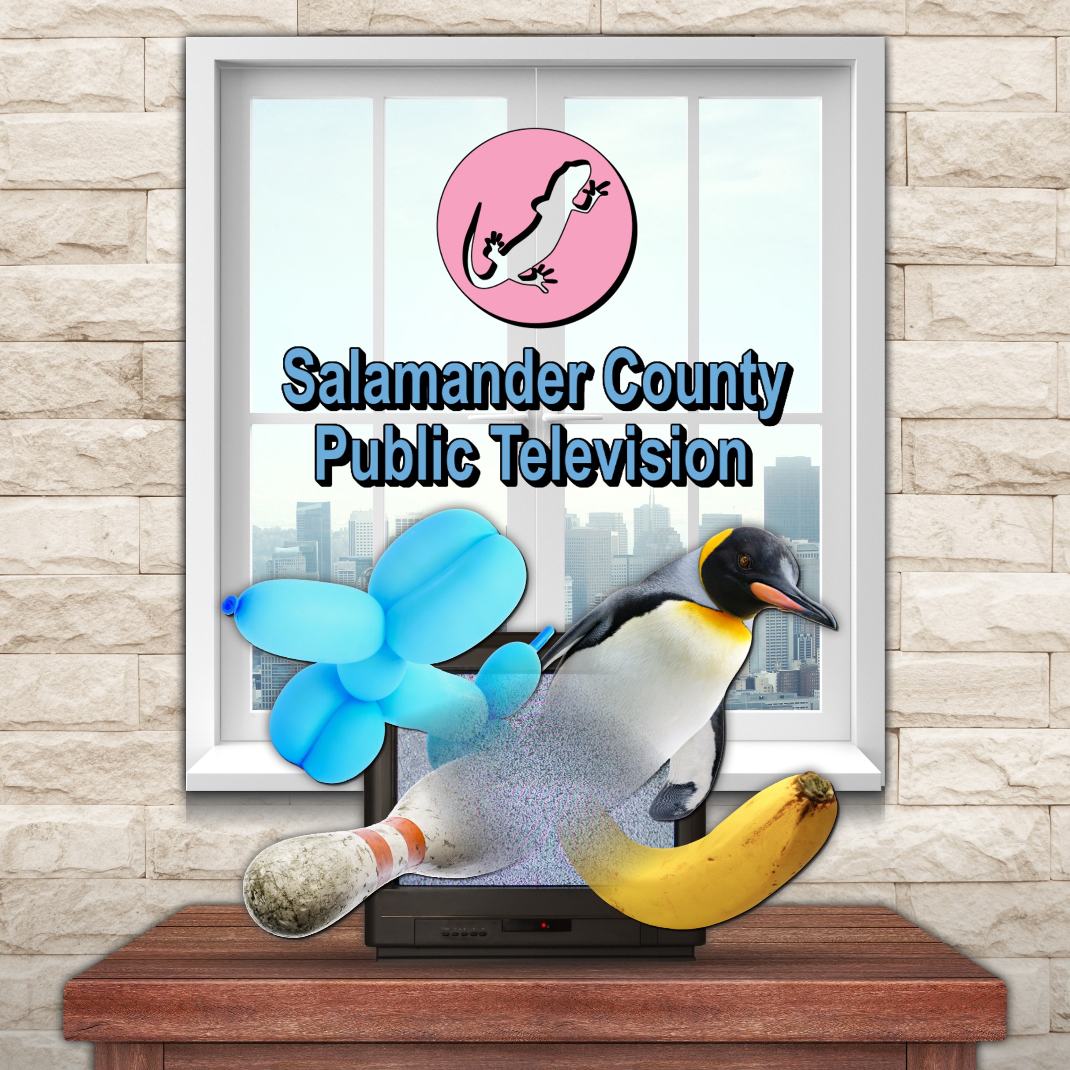 Salamander County Public Television. Изображение 1