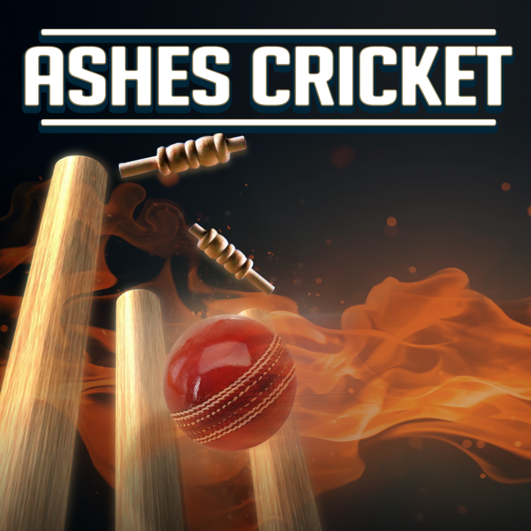 Ashes Cricket. Изображение 1