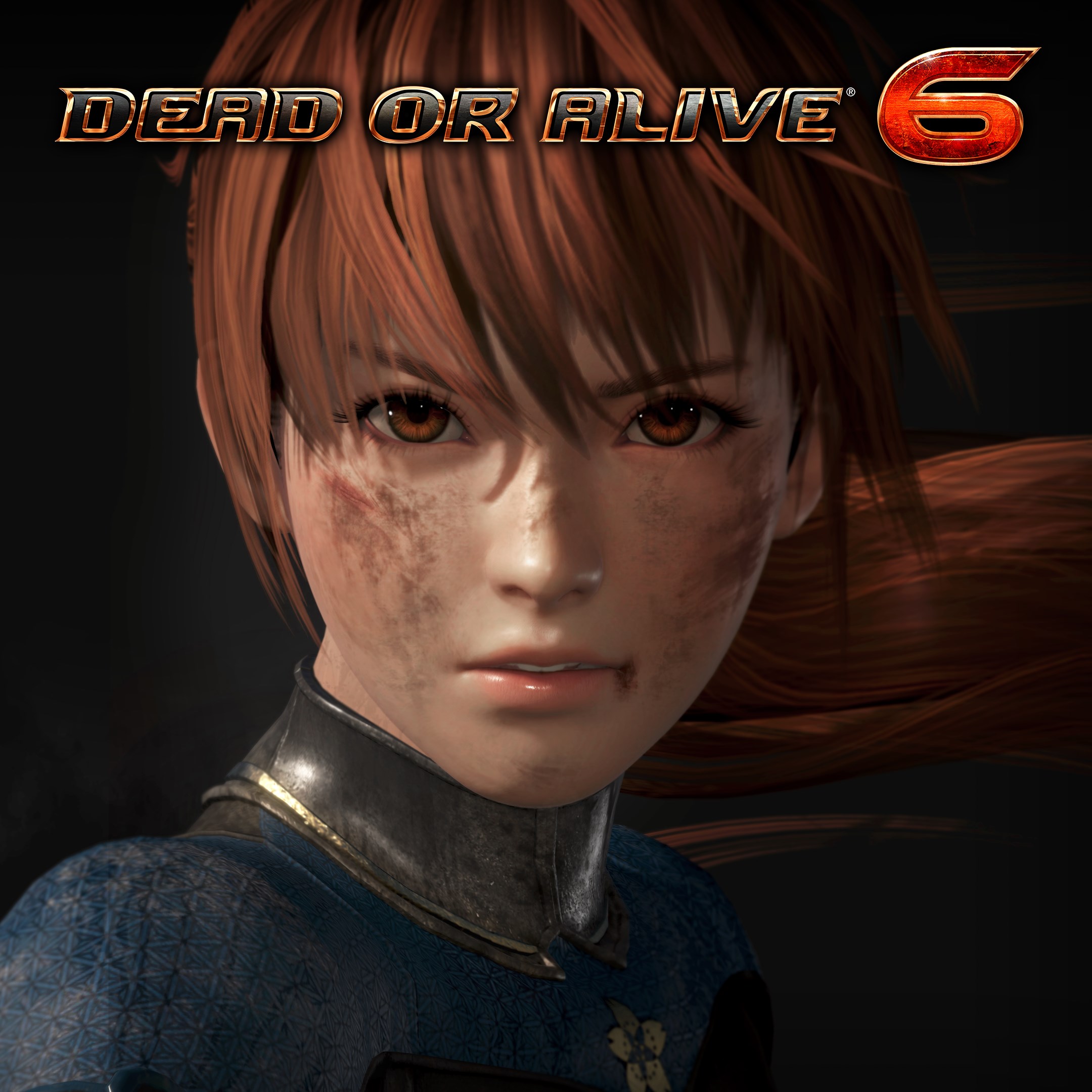 DEAD OR ALIVE 6 (полная игра). Изображение 1