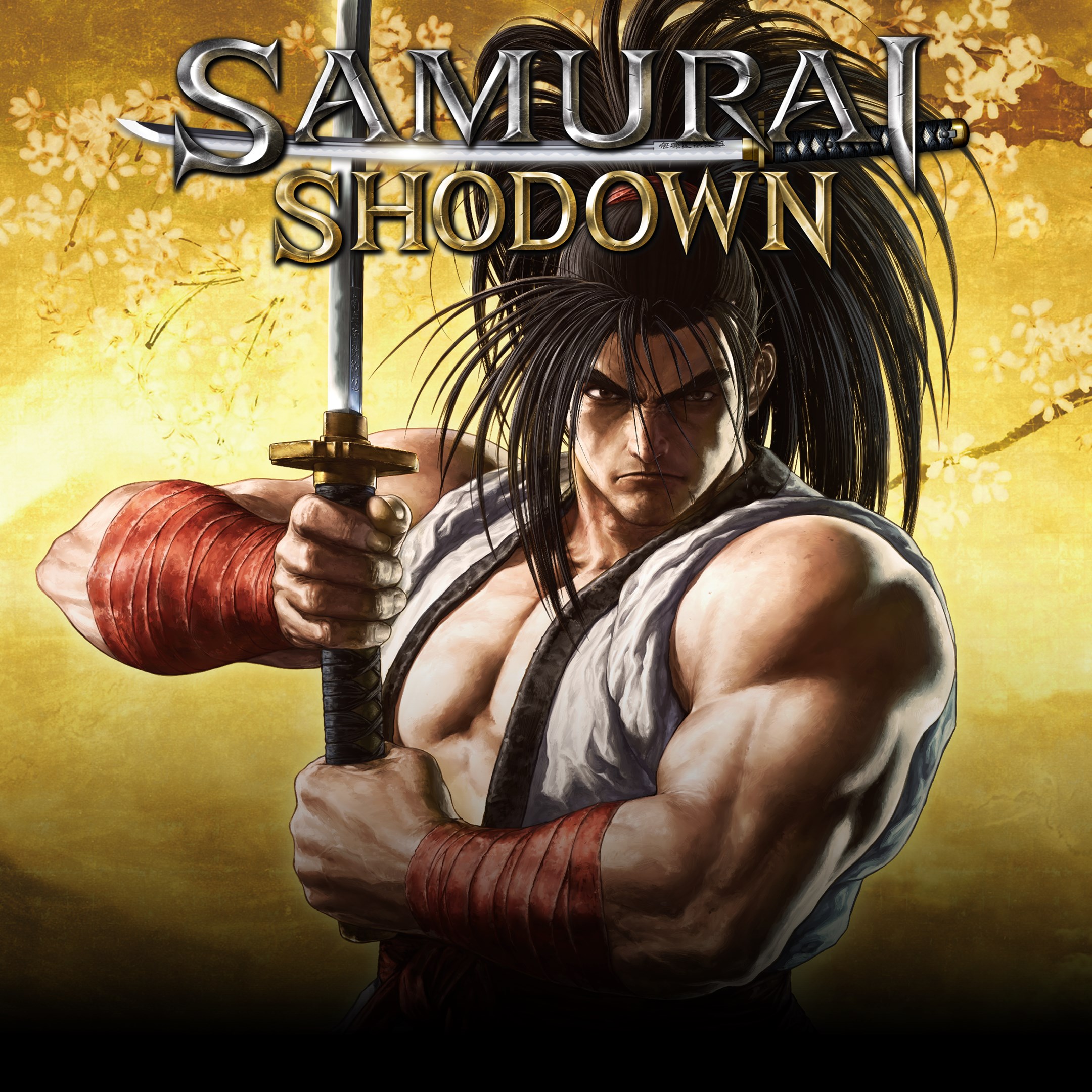 SAMURAI SHODOWN (Standard Ver.). Изображение 1