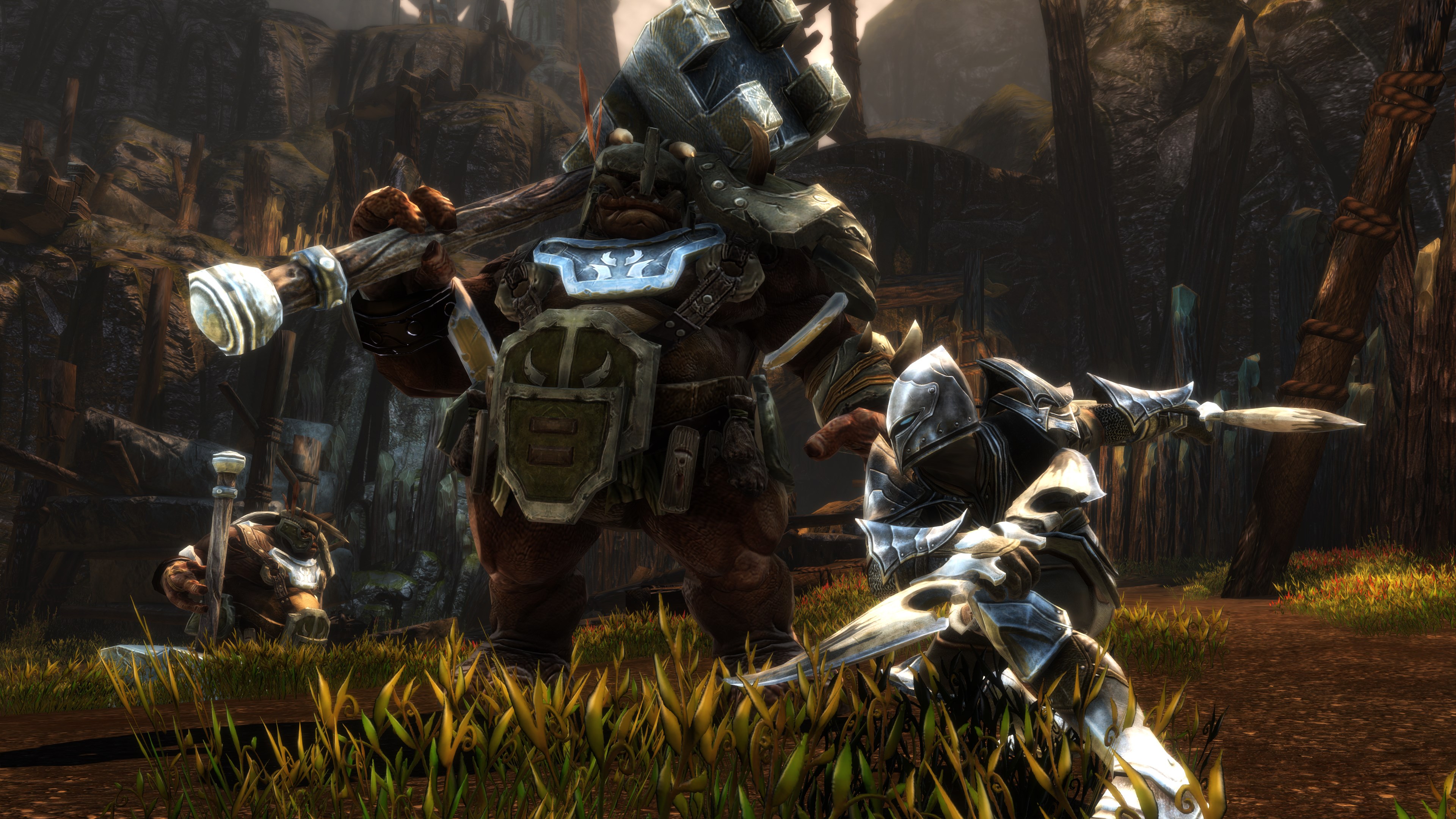 Kingdoms of Amalur: Re-Reckoning. Изображение 4