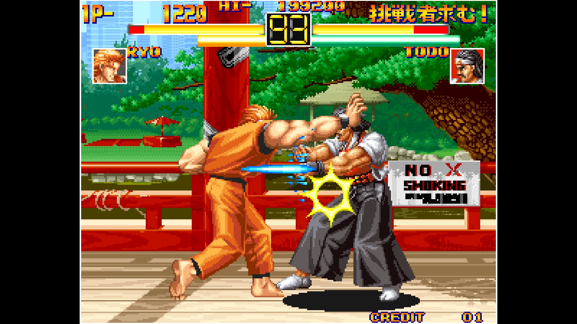 ACA NEOGEO ART OF FIGHTING. Изображение 2