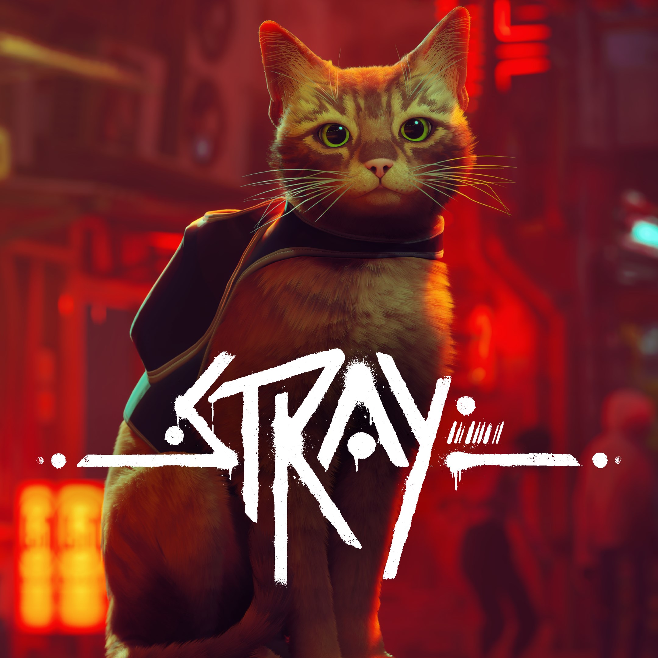 Stray. Изображение 1