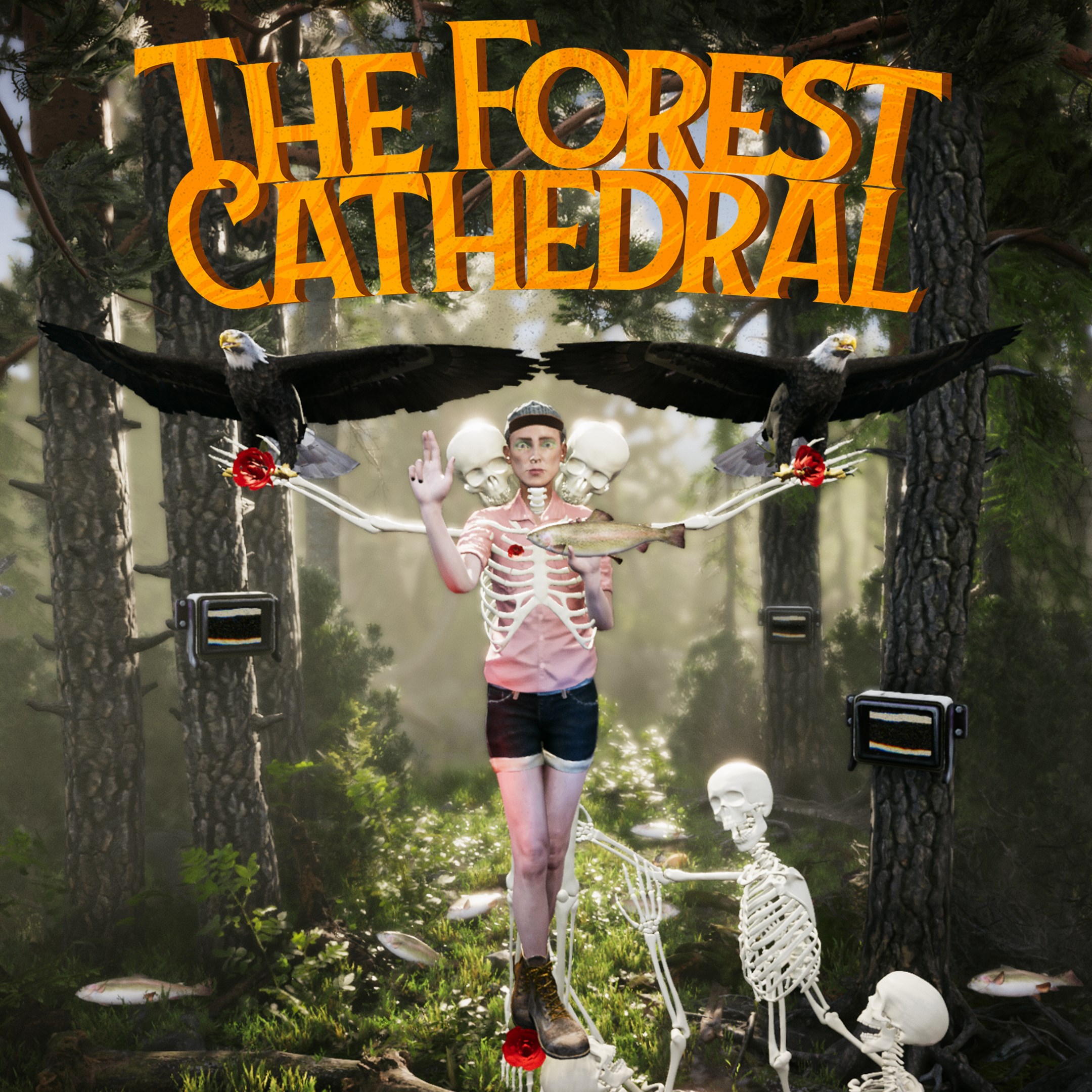 The Forest Cathedral. Изображение 1