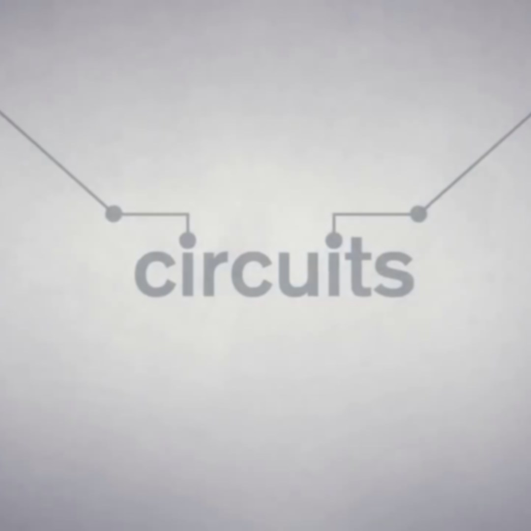 Circuits. Изображение 1