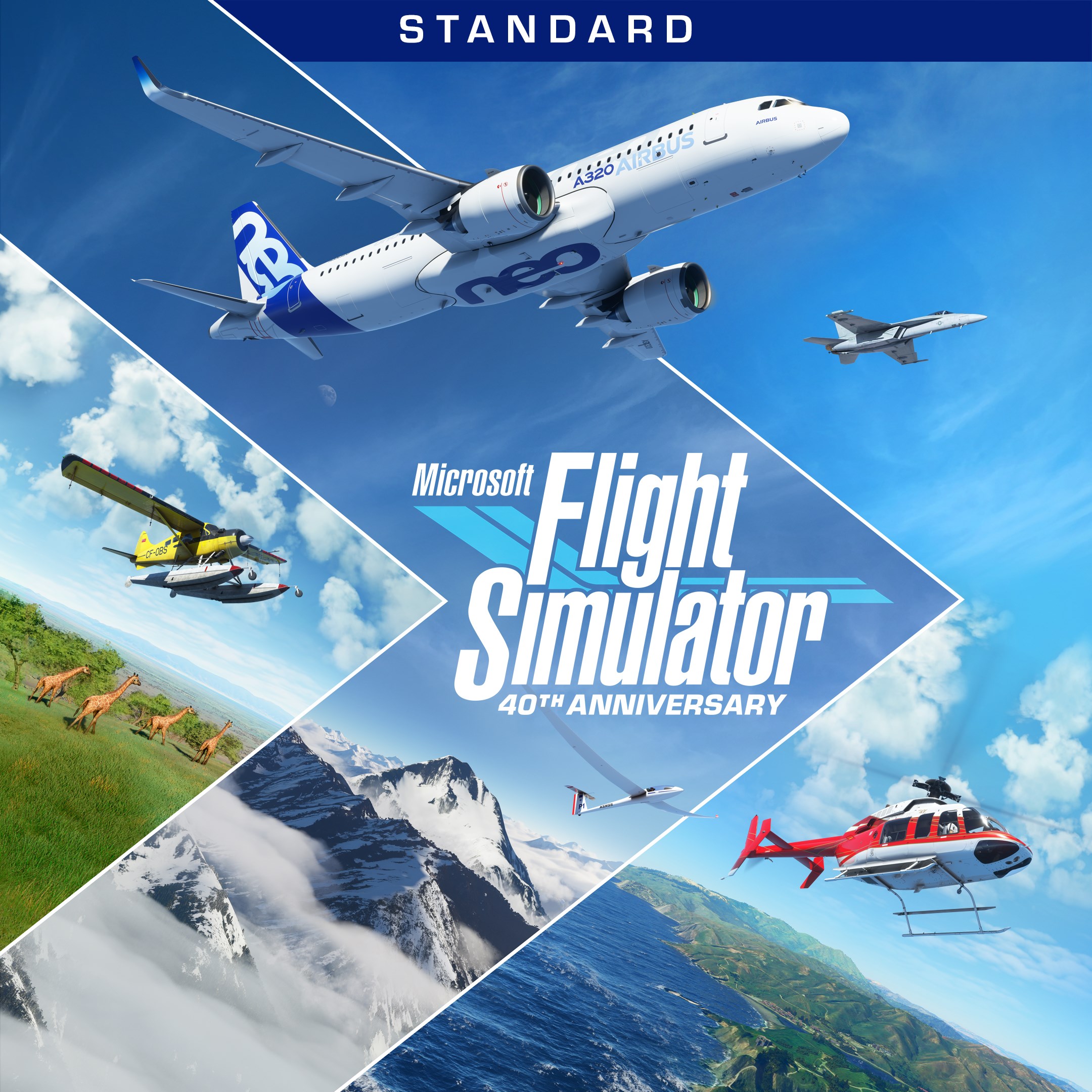 Microsoft Flight Simulator Standard 40th Anniversary Edition. Изображение 1