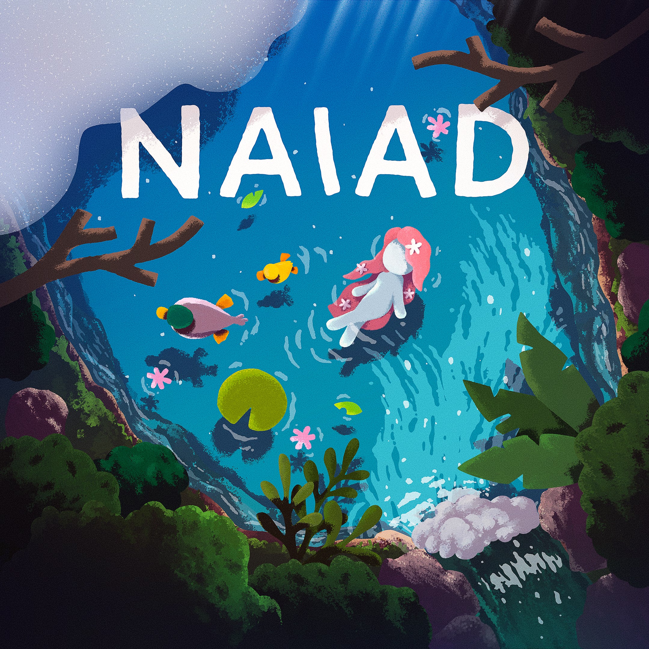 NAIAD. Изображение 1