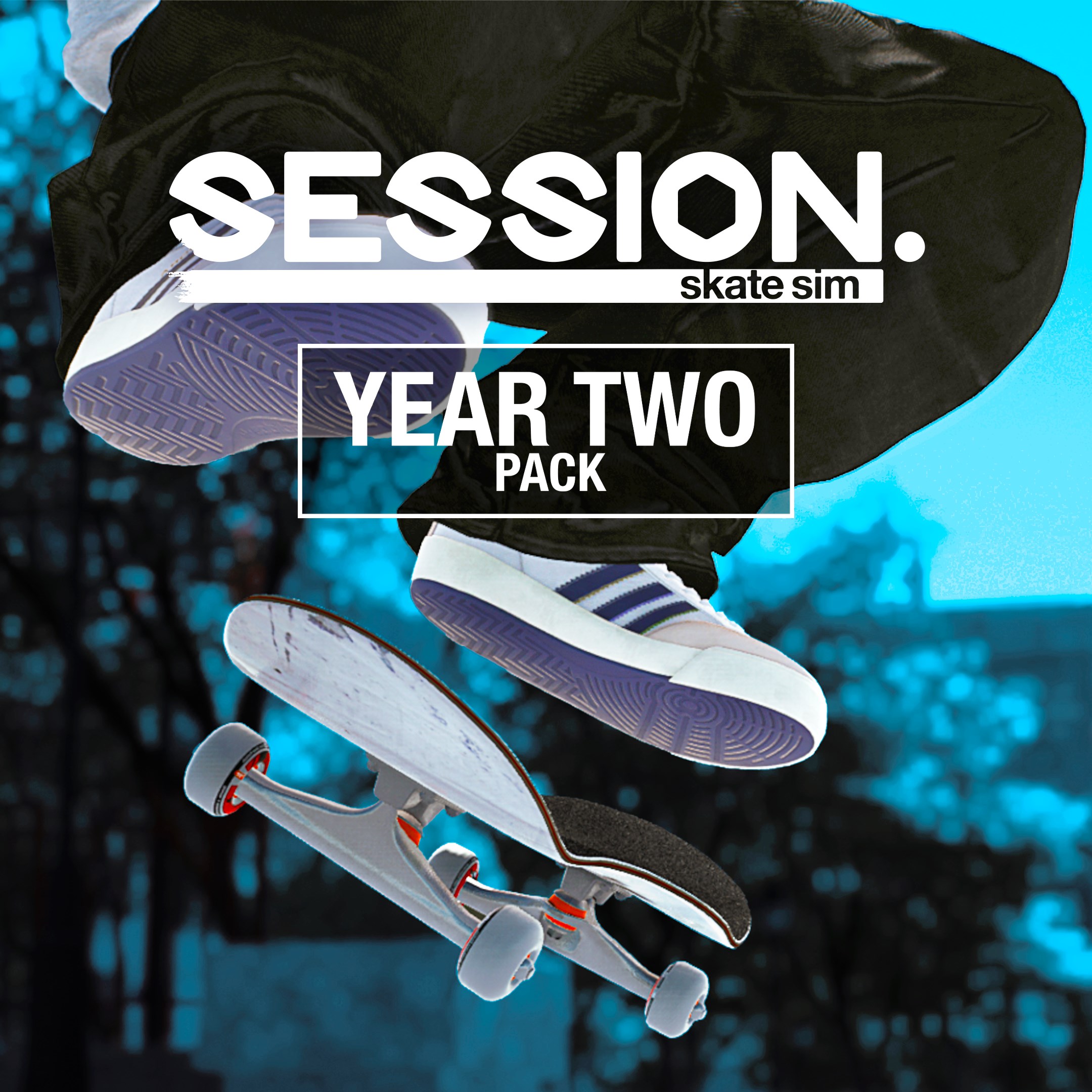 Session: Skate Sim Year Two Pack. Изображение 1